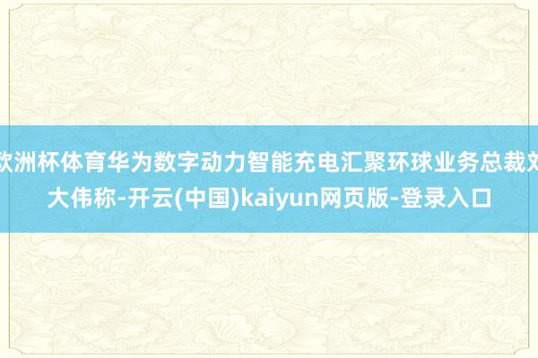 欧洲杯体育华为数字动力智能充电汇聚环球业务总裁刘大伟称-开云(中国)kaiyun网页版-登录入口