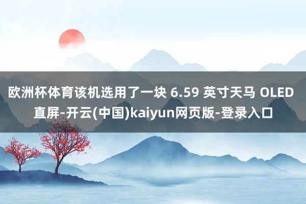欧洲杯体育该机选用了一块 6.59 英寸天马 OLED 直屏-开云(中国)kaiyun网页版-登录入口