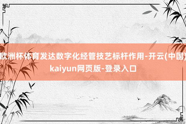 欧洲杯体育发达数字化经管技艺标杆作用-开云(中国)kaiyun网页版-登录入口